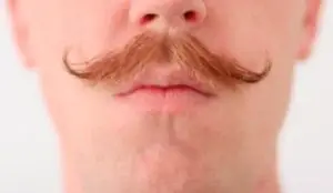 how to trim your moustache
