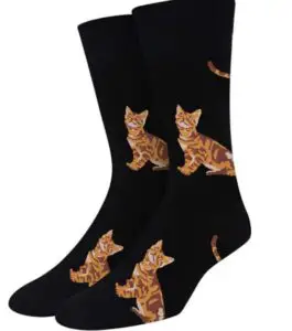 cute cat socks for men